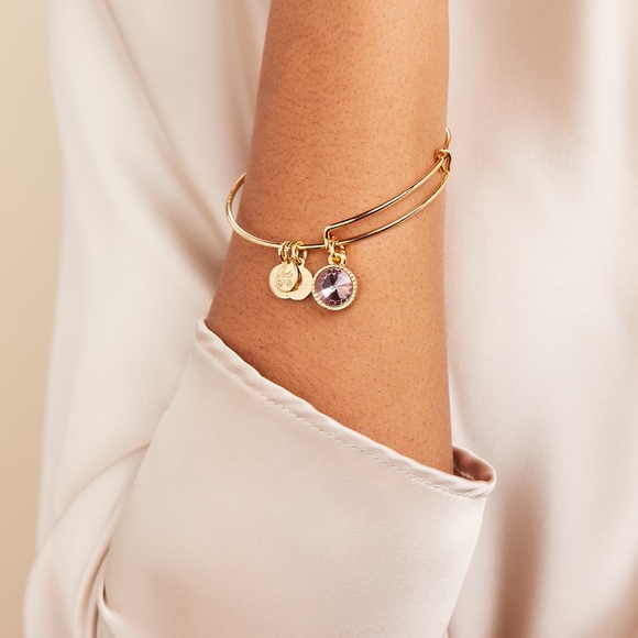 🆕 Alex and Ani June Light Amethyst Birthstone Charm Bangle Bracelet - Picture 2 of 5